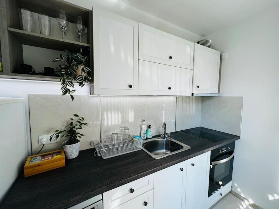 Classic Modern With Parking Place Apartament *
